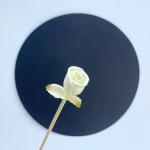 Diffuser Stick EL-33