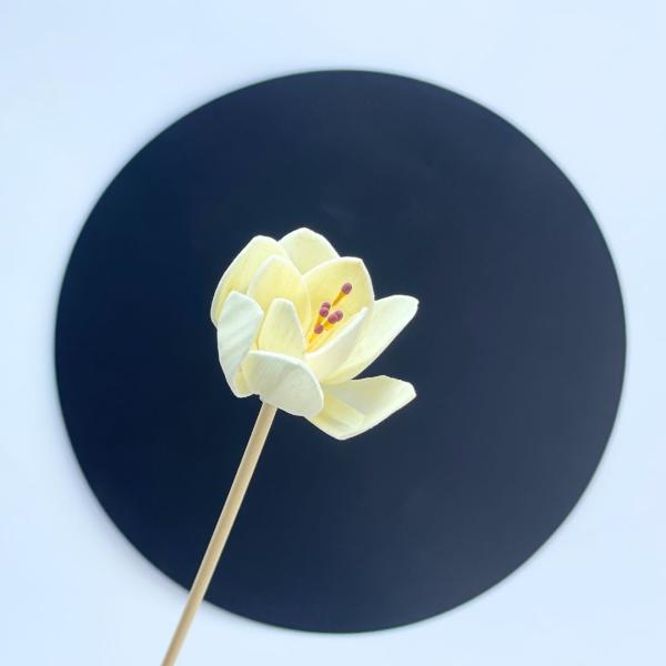 Diffuser Stick EL-30